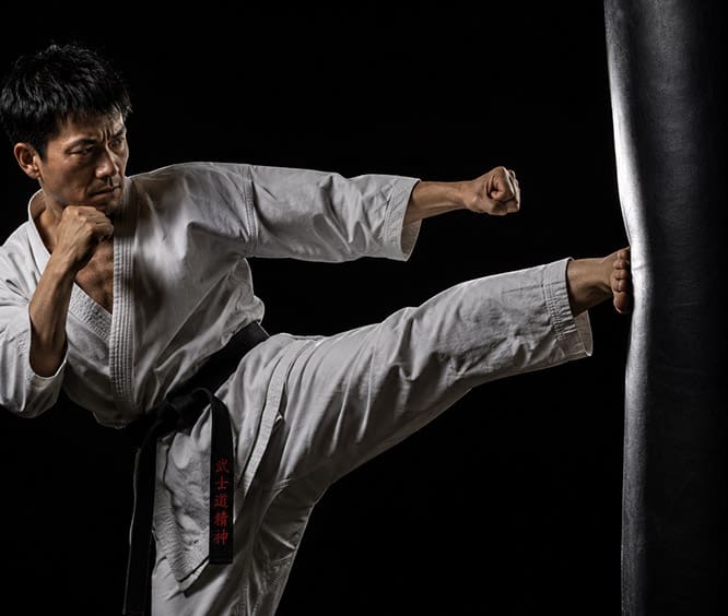 Adult Martial Arts Classes Near Me in Natick | Villari's Martial Arts