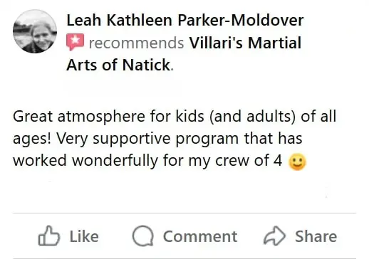Martial Arts School Near Me in Natick | Villari's Martial Arts