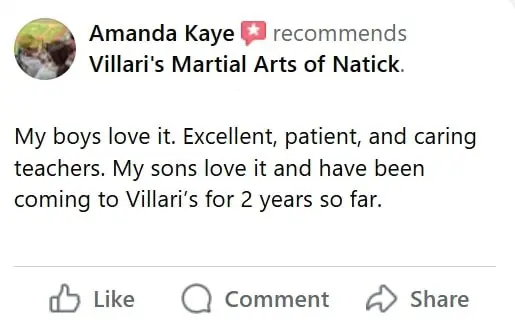Kids Martial Arts Classes Near Me in Natick | Villari's Martial Arts