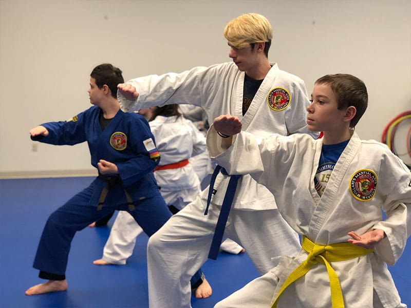 Teen Martial Arts Classes Near Me in Natick | Villari's Martial Arts