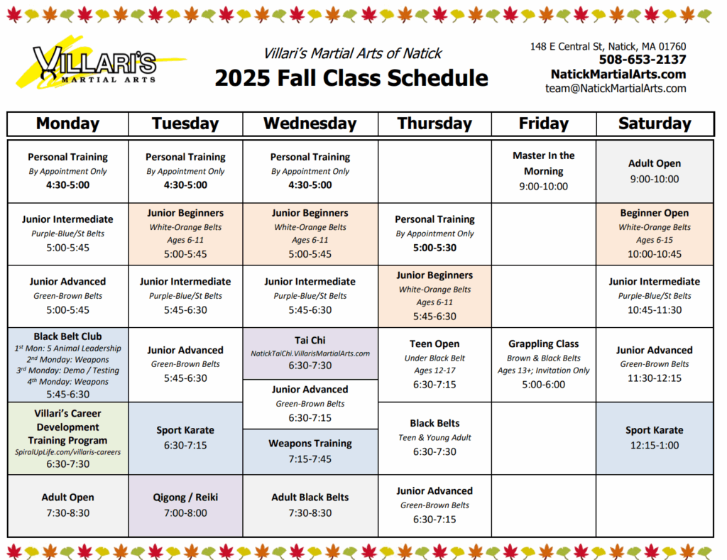 Martial Arts School Near Me in Natick | Villari's Martial Arts